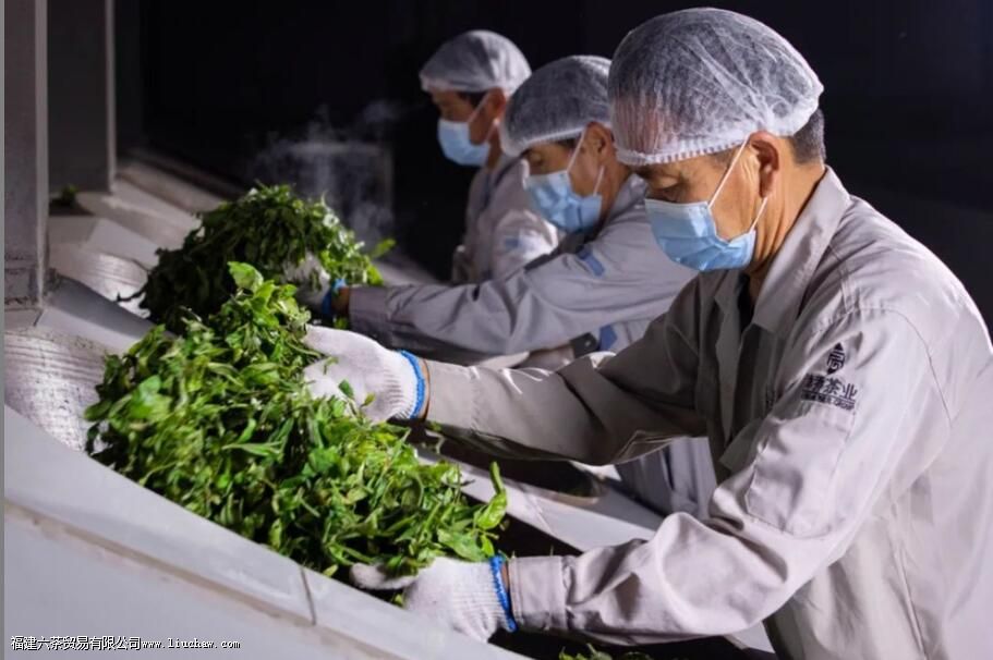 ���ࡢ���ࡢɹ�ࡢҡ�࣬�Ʋ��еĸ��֡��ࡱ�кβ�ͬ