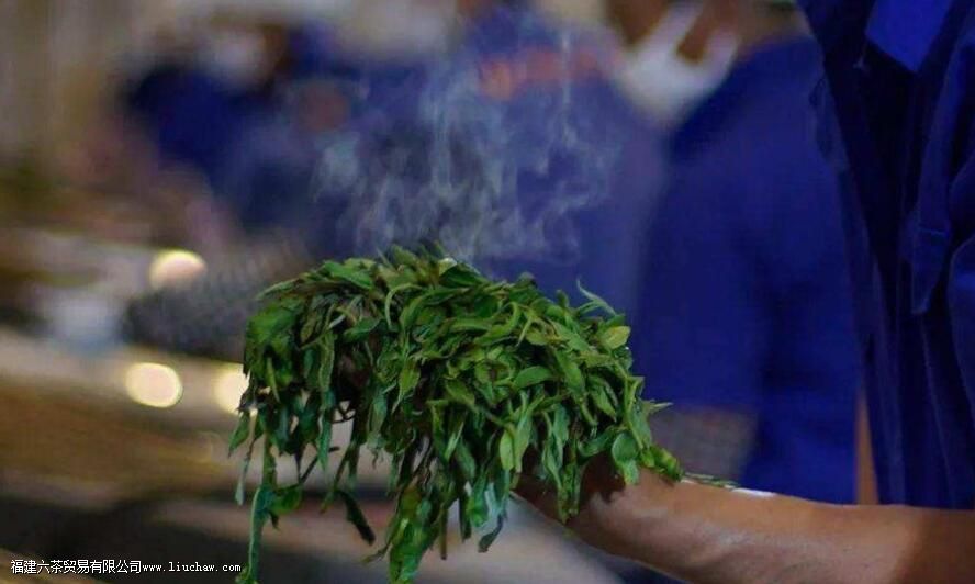 ������ʲô��