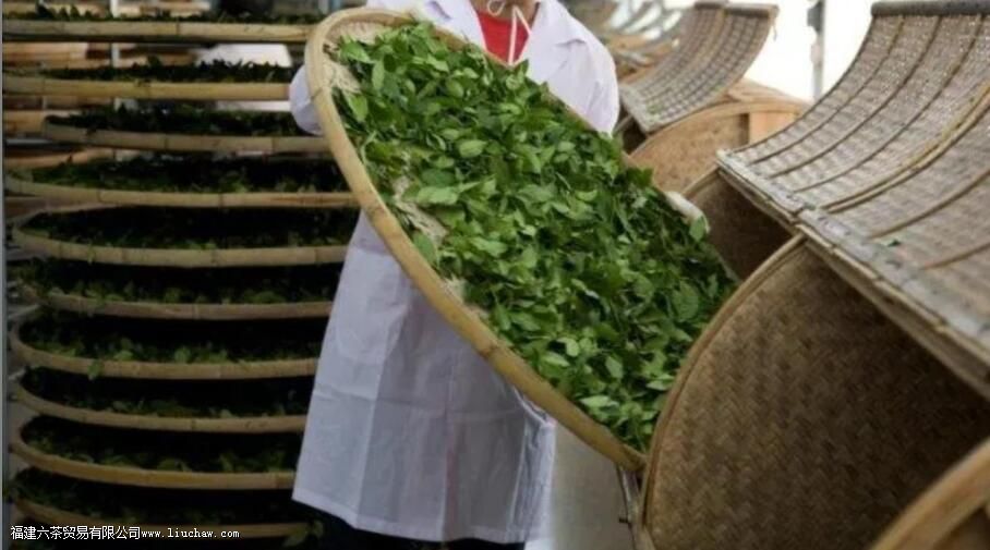 ��ζ����������������������ʲô����