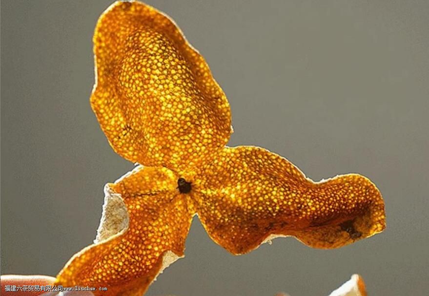 正宗的陈皮产地是哪些 正宗的陈皮产地是哪些