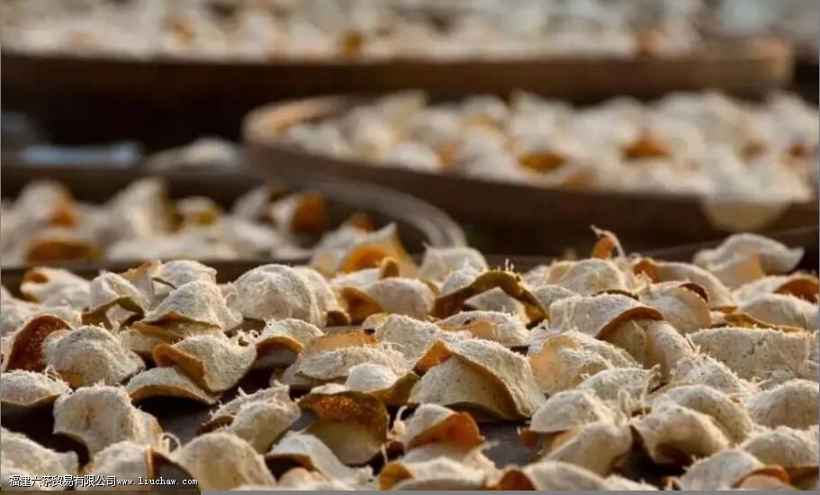 正宗的陈皮产地是哪些 正宗的陈皮产地是哪些