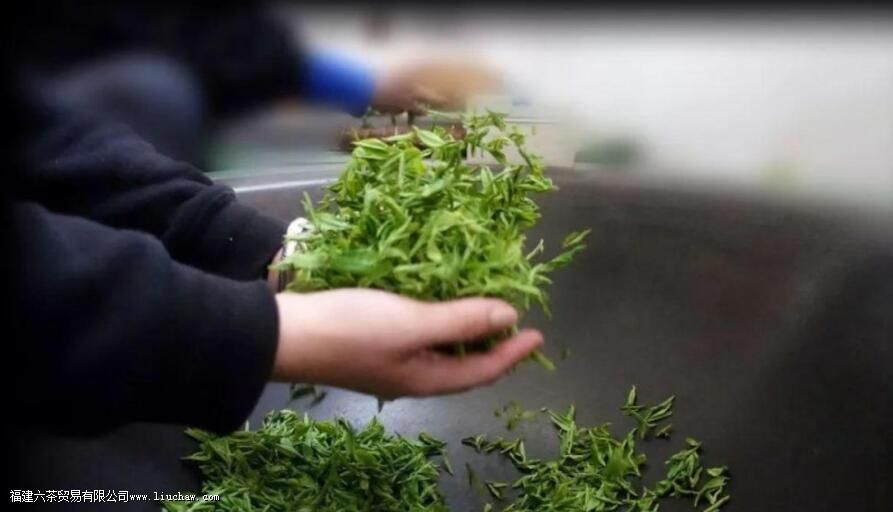 �Ʋ���˭����������