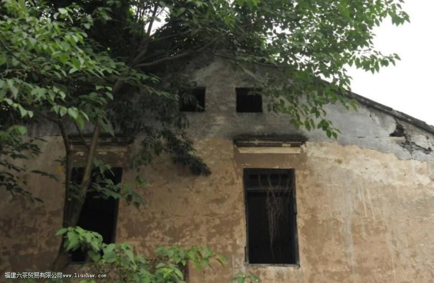 重庆沱茶的加工工艺是什么 重庆沱茶的加工工艺是什么