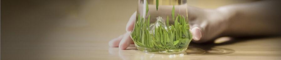 竹叶青与雀舌茶有哪些区别 竹叶青与雀舌茶有哪些区别