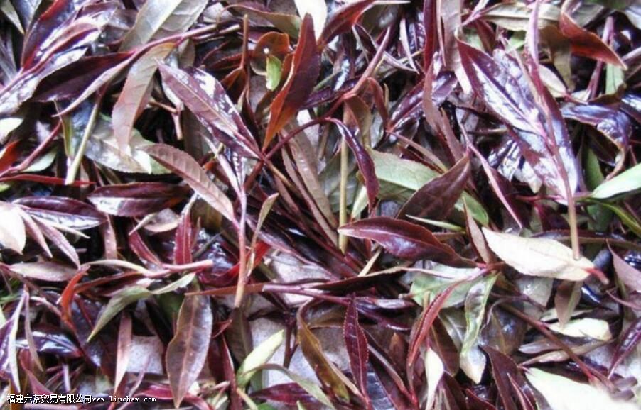 紫芽、紫娟、紫茶,三者有什么区别 紫芽、紫娟、紫茶,三者有什么区别