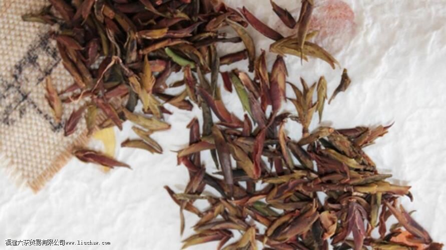 紫芽苞是属于什么茶 紫芽苞是属于什么茶