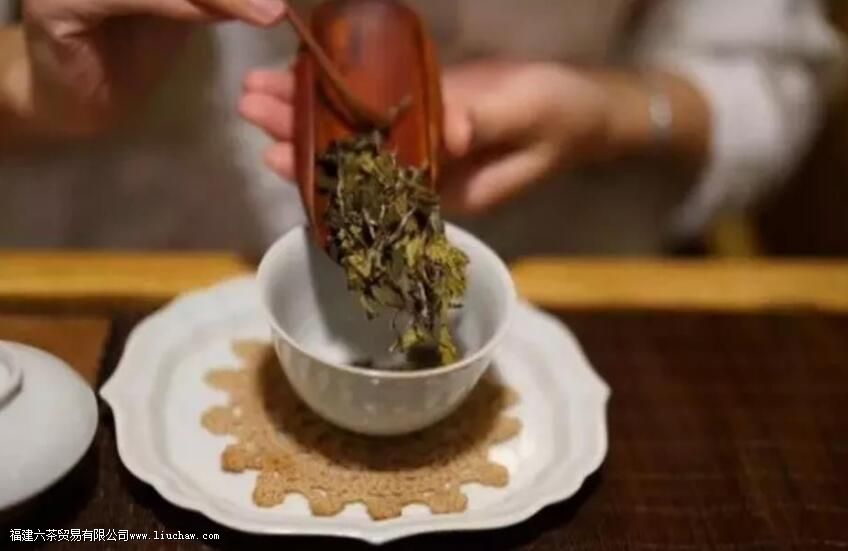 13�ֳ�����ҶͶ����������Ͷ��������㴼