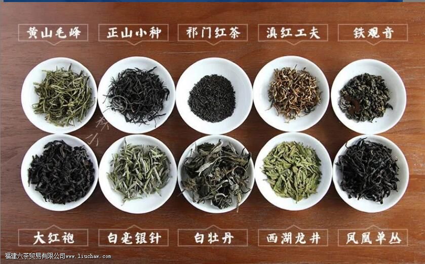 13�ֳ�����ҶͶ����������Ͷ��������㴼