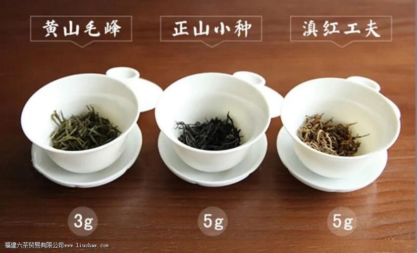 13�ֳ�����ҶͶ����������Ͷ��������㴼