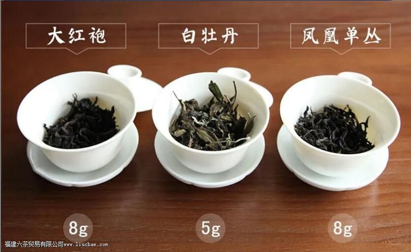 13�ֳ�����ҶͶ����������Ͷ��������㴼