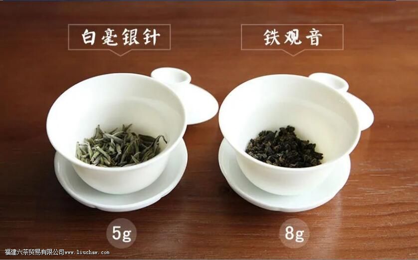 13�ֳ�����ҶͶ����������Ͷ��������㴼