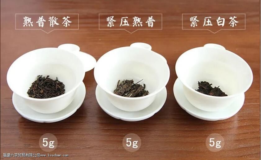 13�ֳ�����ҶͶ����������Ͷ��������㴼