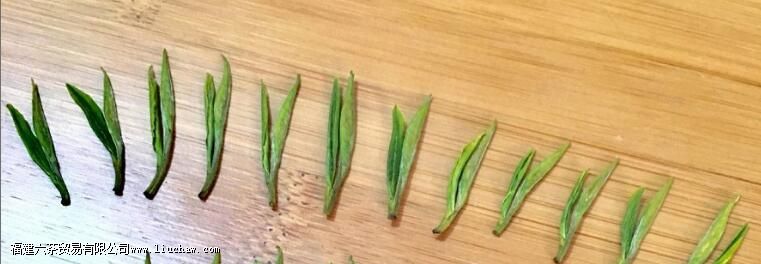 安吉白茶玻璃杯子泡多少克 安吉白茶玻璃杯子泡多少克