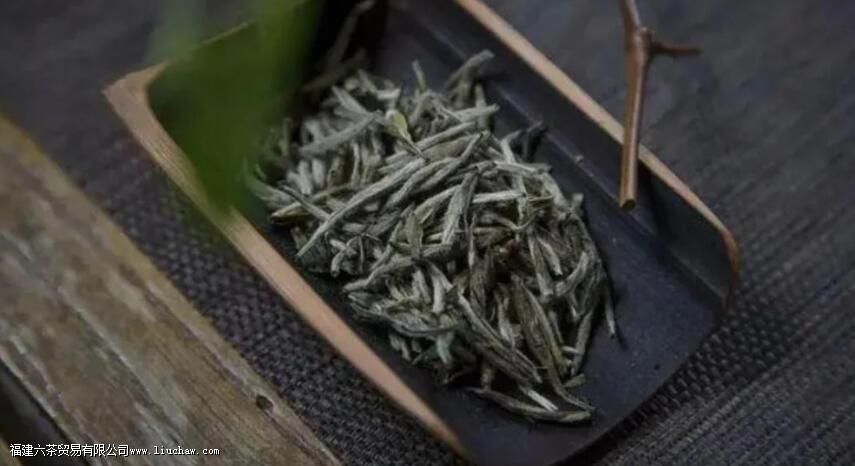 �׺�������γ���