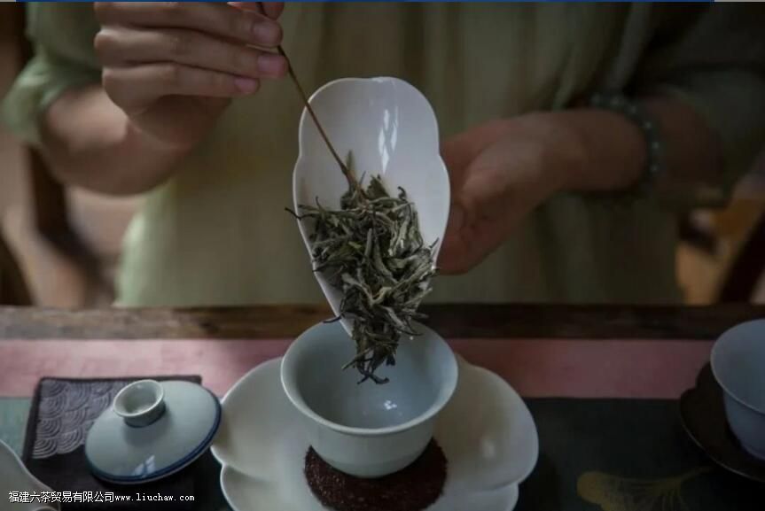 �׺�������γ���