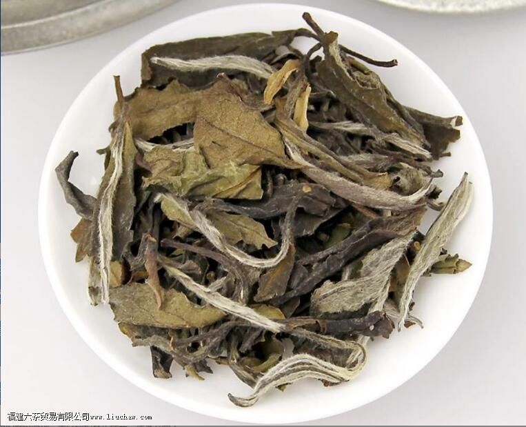 白牡丹白茶是煮还是泡好 白牡丹白茶是煮还是泡好