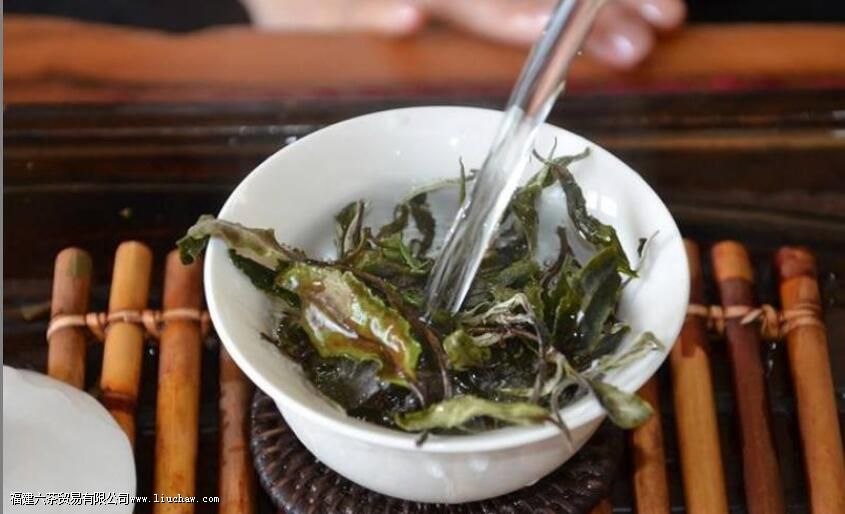 白牡丹白茶是煮还是泡好 白牡丹白茶是煮还是泡好