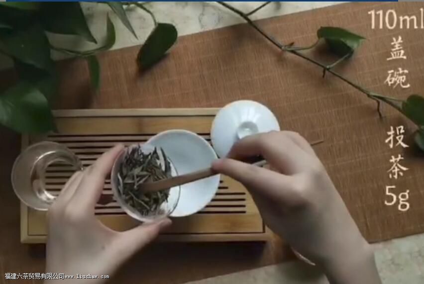 ��ĵ�������ȷ�ݷ�