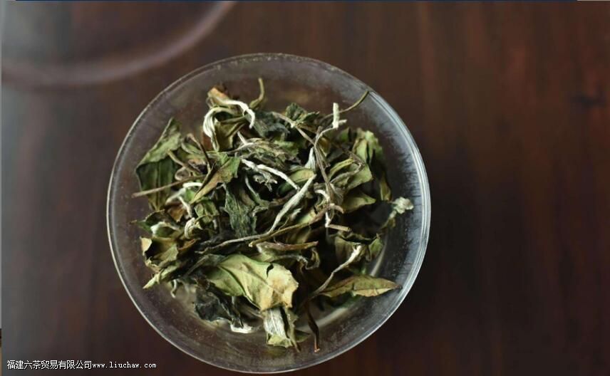 白牡丹一泡多少克 白牡丹一泡多少克