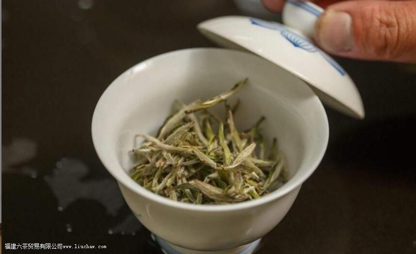 白牡丹一泡多少克 白牡丹一泡多少克