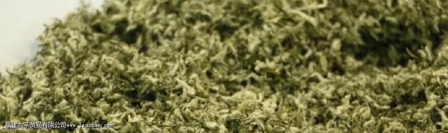 ���ݴ����ٶ�ˮ�ݲ��