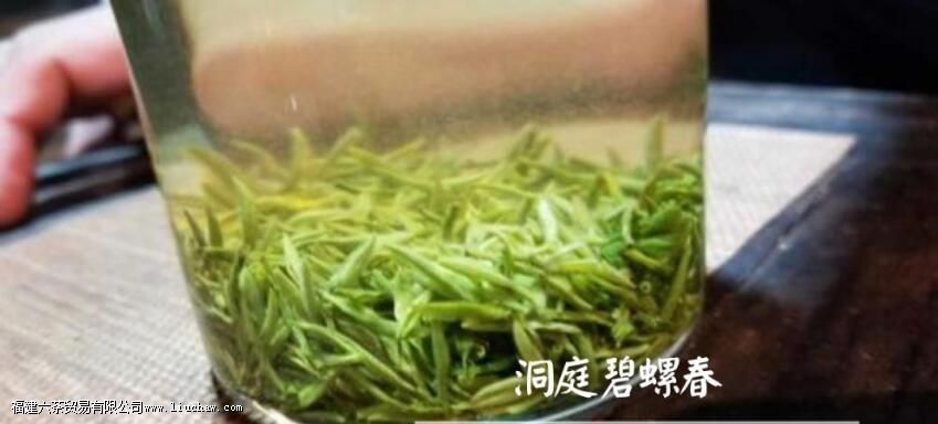 碧螺春正确泡法和饮用 碧螺春正确泡法和饮用