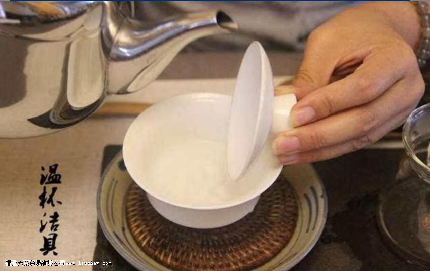 茶化石普洱茶熟茶怎么泡 茶化石普洱茶熟茶怎么泡