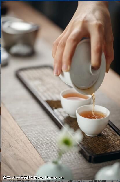 茶化石普洱茶熟茶怎么泡 茶化石普洱茶熟茶怎么泡