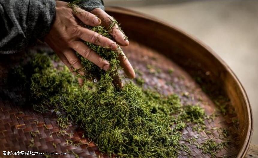 ��Ҷ����֮��Ϊʲô��������