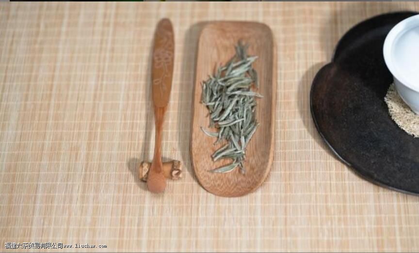 ��Ҷ����֮��Ϊʲô��������