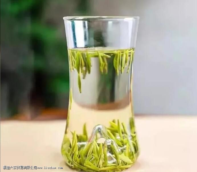 ��Ҷ����֮��Ϊʲô��������