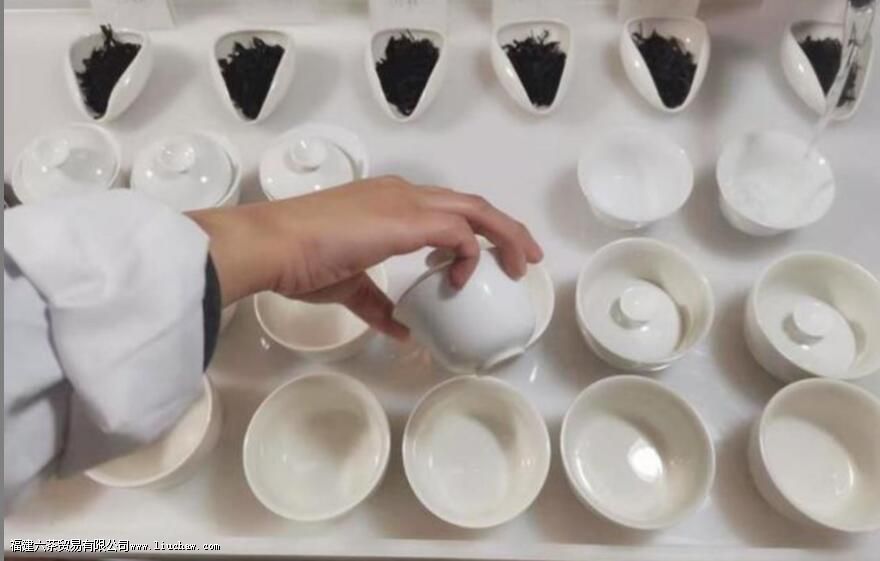 ��Ҷ����ָ����ʲô