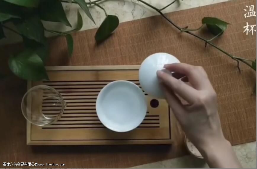 陈皮白茶怎么泡 陈皮白茶怎么泡