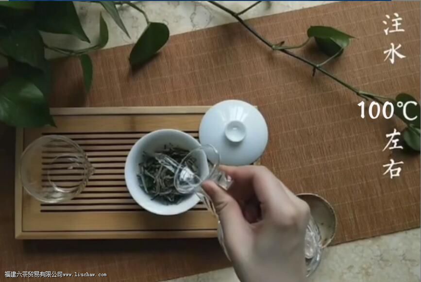 陈皮白茶怎么泡 陈皮白茶怎么泡