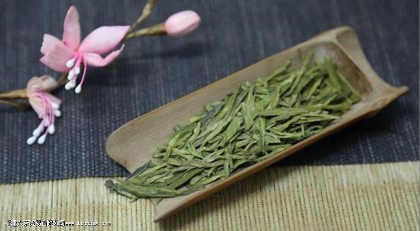 春天的第一口新茶,泡的方式不对就糟蹋了 春天的第一口新茶,泡的方式不对就糟蹋了