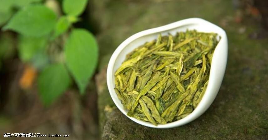 春天的第一口新茶,泡的方式不对就糟蹋了 春天的第一口新茶,泡的方式不对就糟蹋了