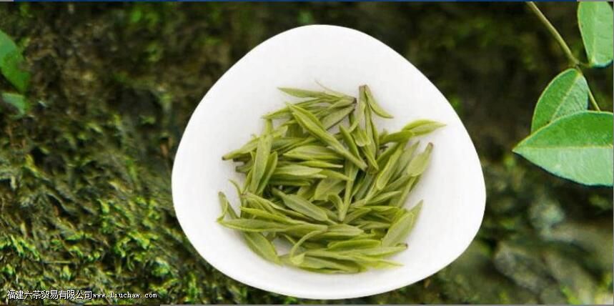 春天的第一口新茶,泡的方式不对就糟蹋了 春天的第一口新茶,泡的方式不对就糟蹋了