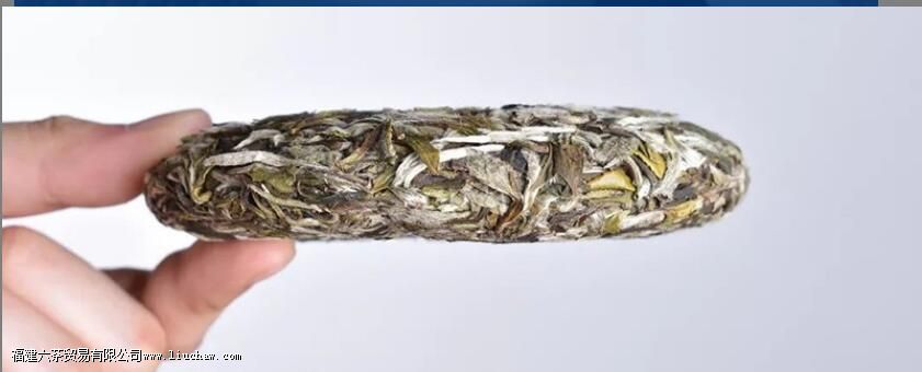 ��ü�ײ�ĳ��ݷ���