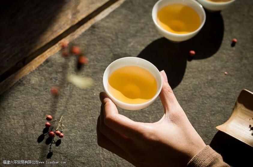 ��ü�ײ�ĳ��ݷ���