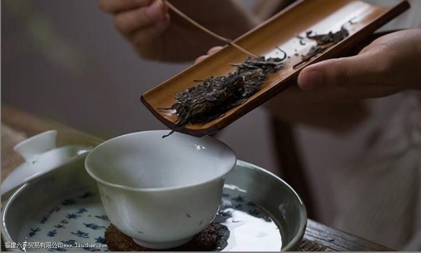 ��ü�ײ�ĳ��ݷ���