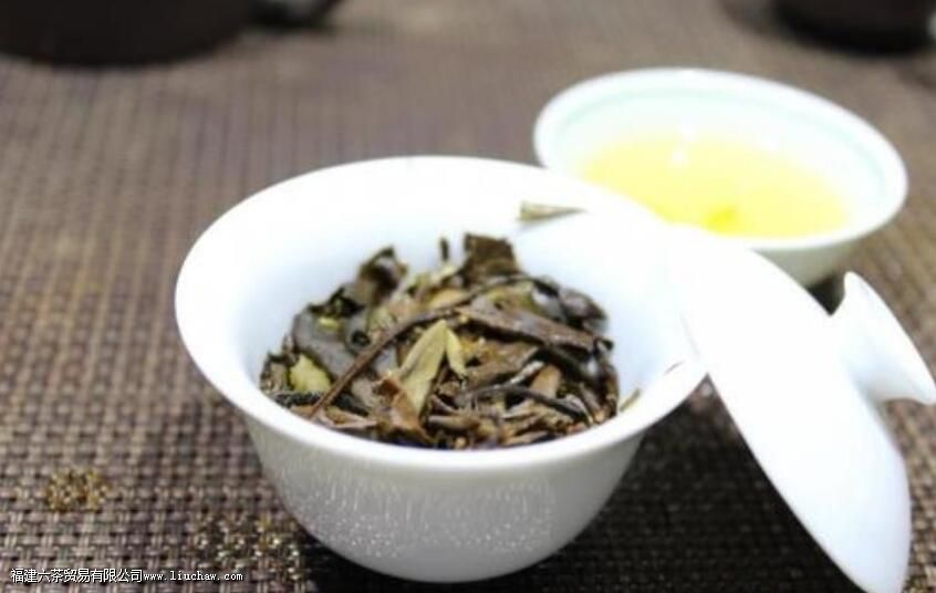 ��ü�ײ�ĳ��ݷ���