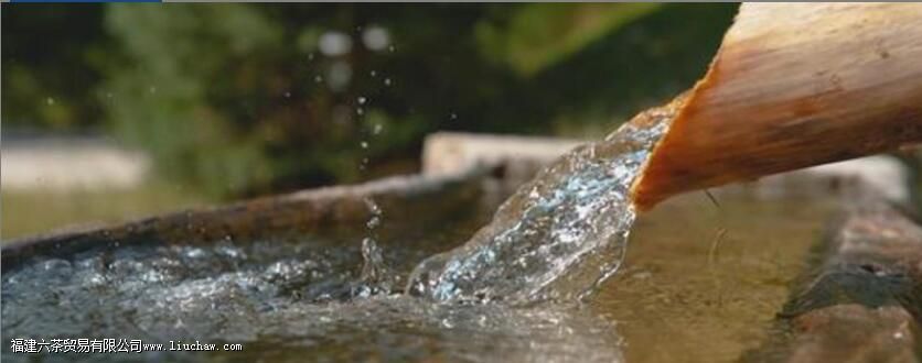 喝绿茶一定要矿泉水吗 喝绿茶一定要矿泉水吗