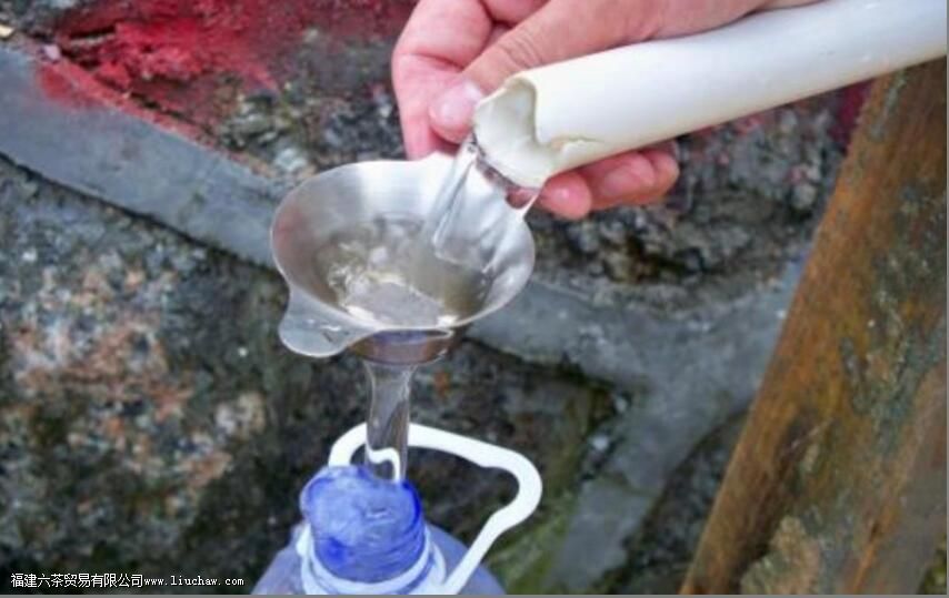 喝绿茶一定要矿泉水吗 喝绿茶一定要矿泉水吗