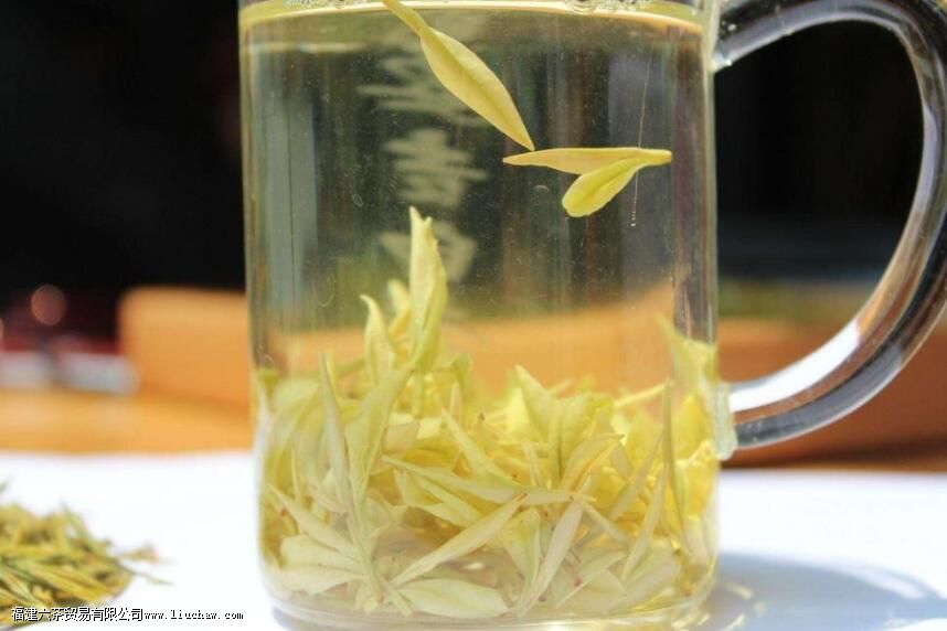 黄茶怎么冲泡 黄茶怎么冲泡