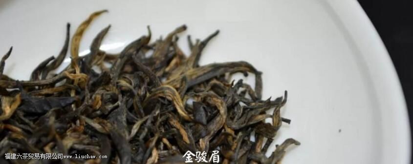 ��ü��������