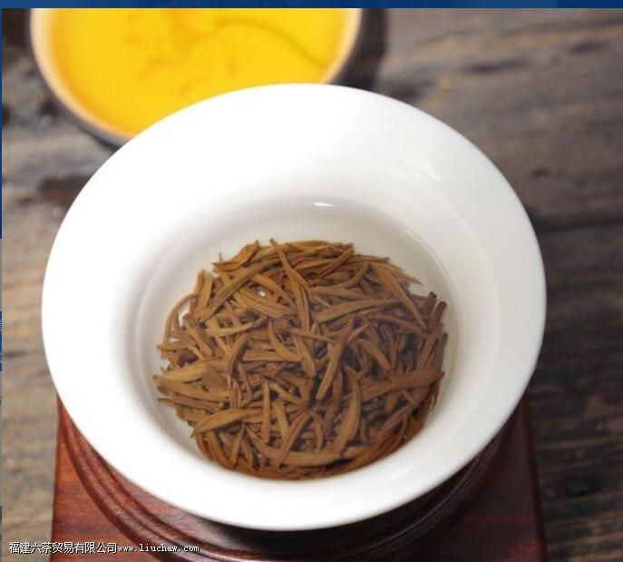 ��ü��������