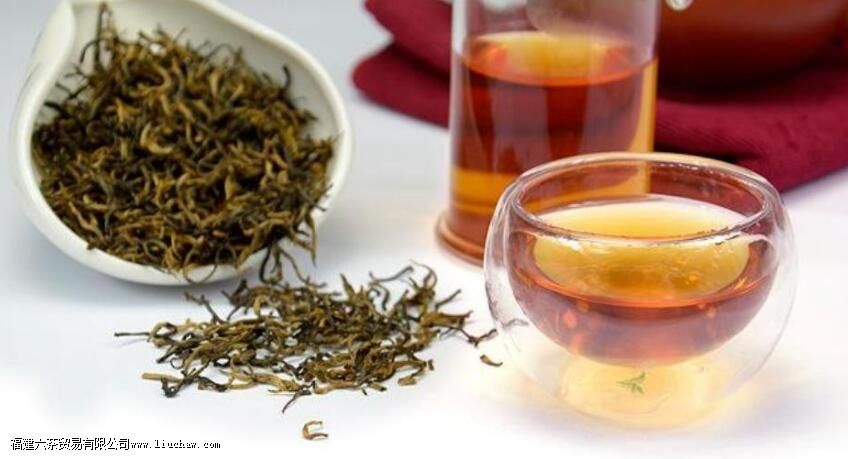 金骏眉投茶比例 金骏眉投茶比例