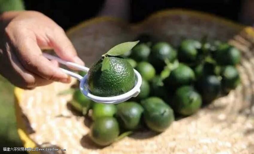 橘子包茶叶怎么泡 橘子包茶叶怎么泡