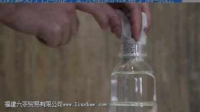 凉开水泡茶怎么样 凉开水泡茶怎么样