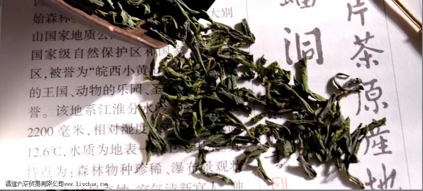 六安瓜片怎么泡最好 六安瓜片怎么泡最好